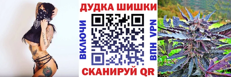 Где можно купить наркотики Кириши Кодеин Альфа ПВП ГАШ Канабис Меф Кокаин