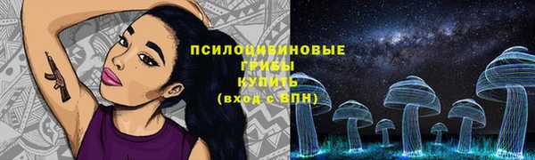 герыч Покачи