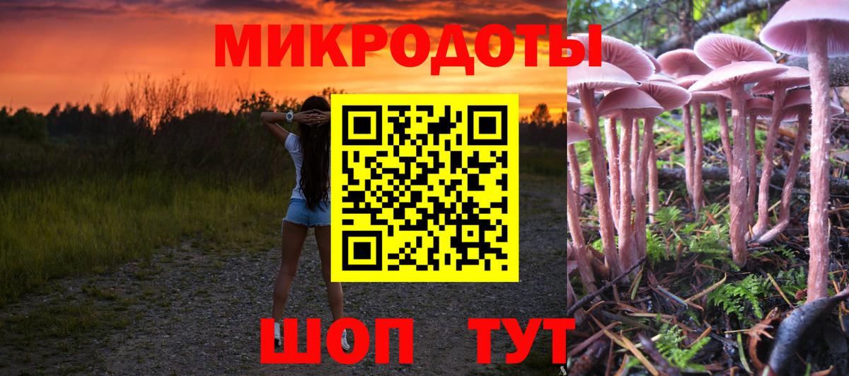 Псилоцибиновые грибы Psilocybe Кириши