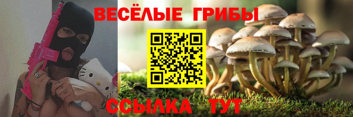 Галлюциногенные грибы GOLDEN TEACHER  Кириши 