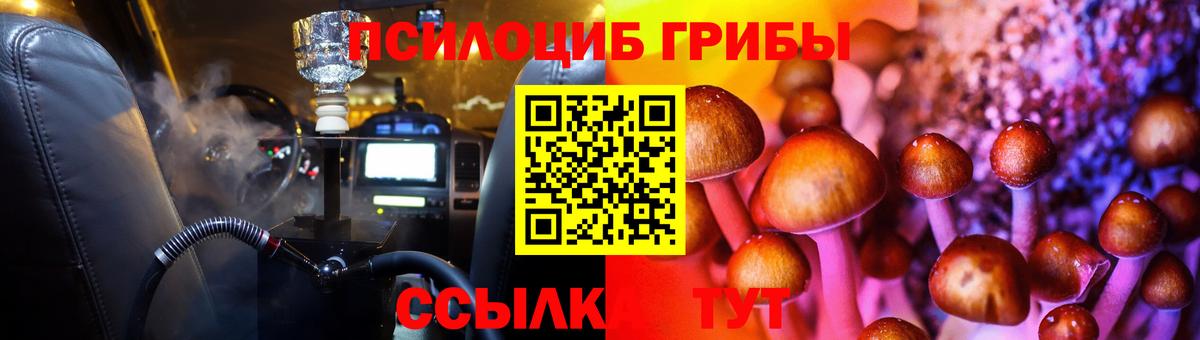 Кириши  Галлюциногенные грибы MAGIC MUSHROOMS  наркотики  Вход с VPN 
