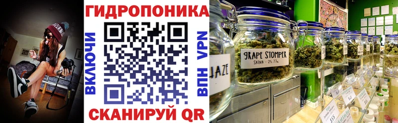 Бошки Шишки THC 21% Кириши